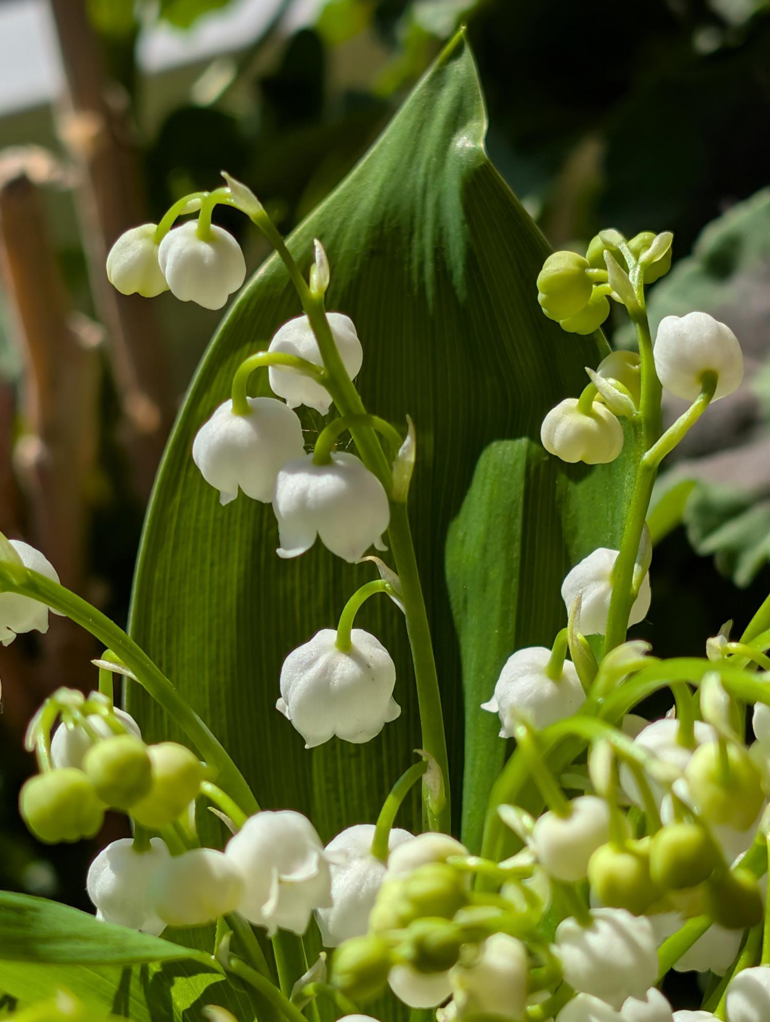 pxl_20250501_133732531_by_irene-urff_pfarrbriefservice (c) pfarrbriefservice.de