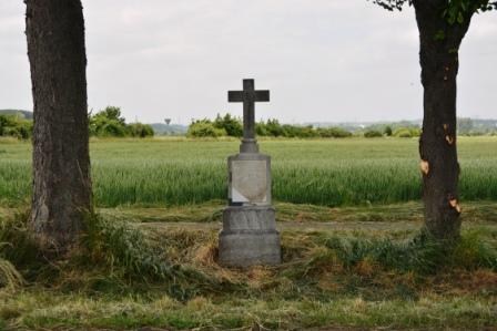 Hahnkreuz (c) Ralph Becker